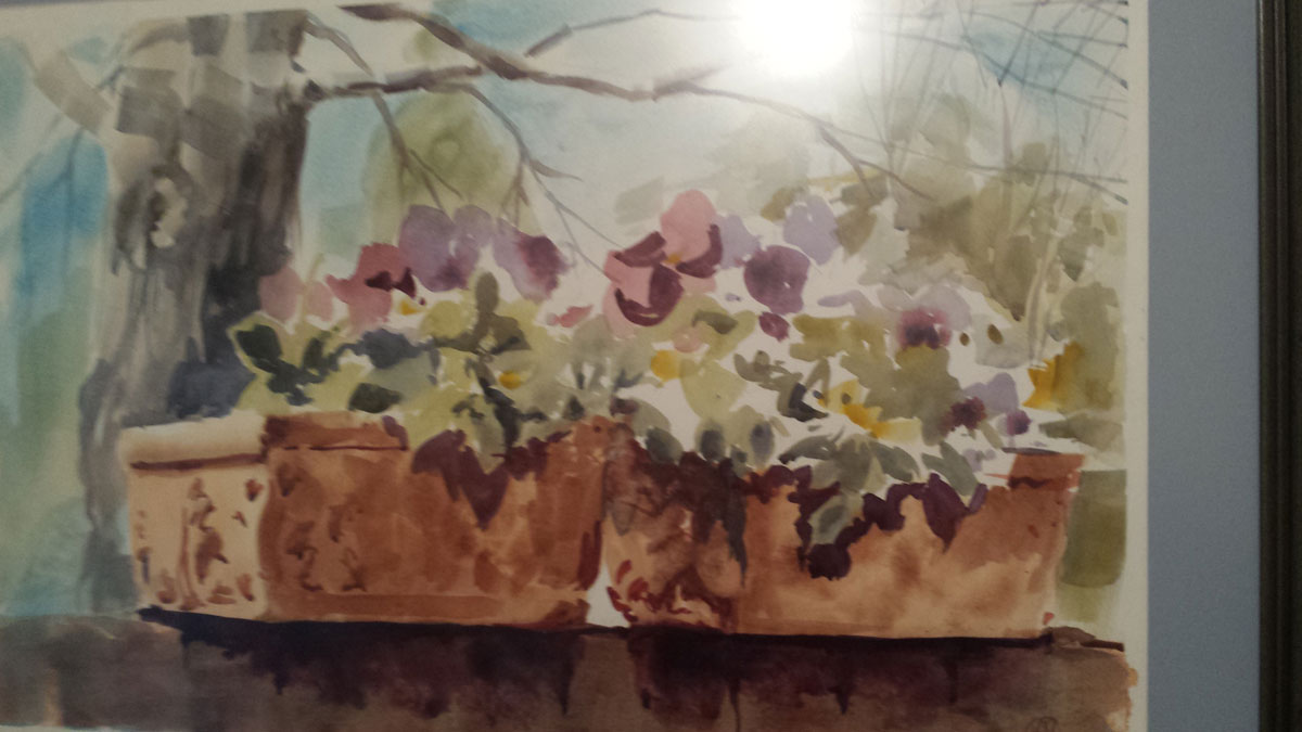 Pansies-on-the-Neighbors-Wall-by-Kathryn-Morganelli