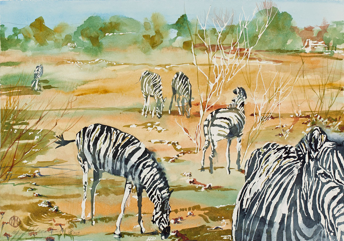 Tribute-to-Team-Zebra-by-Kathryn-Morganelli