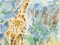 Giraffe-in-the-Thorns-by-Kathryn-Morganelli