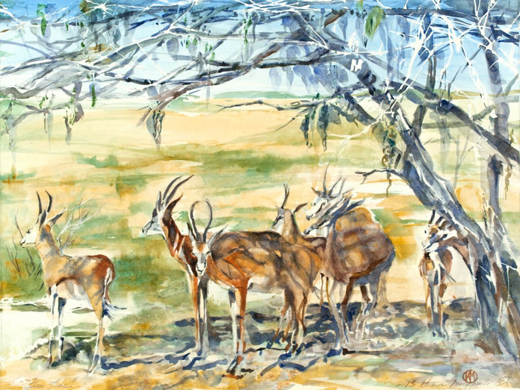 Impalas "Tree Time" by Kathyrn Morganelli